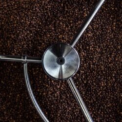 Making Organic Farming Sustainable 4 coffeebean hero beans 2