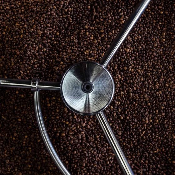 Making Organic Farming Sustainable 3 coffeebean hero beans 2